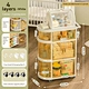 Plastic Car Organizer